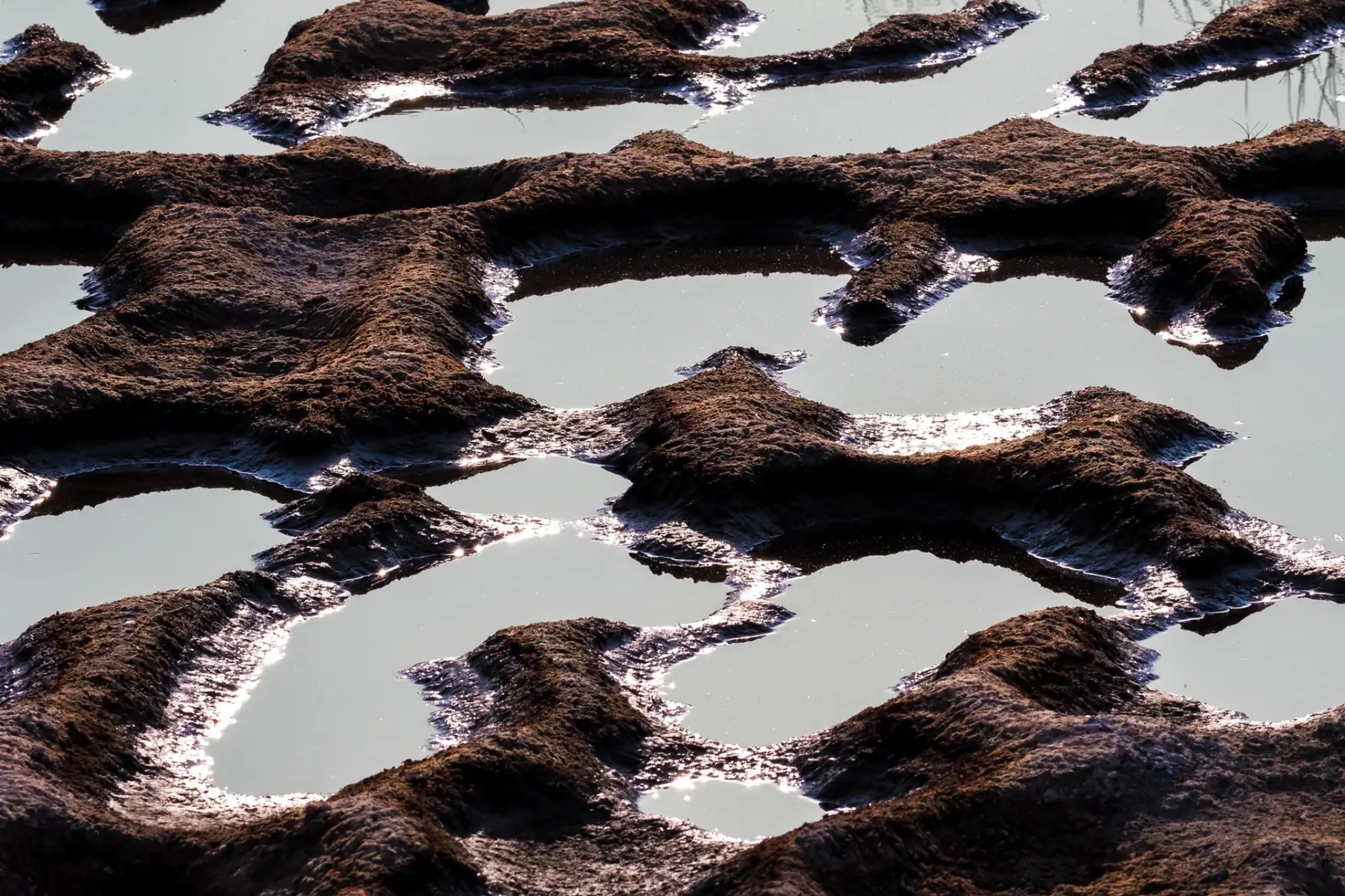Small pools separated by dark uneven ridges at Lake Natron’s edge.